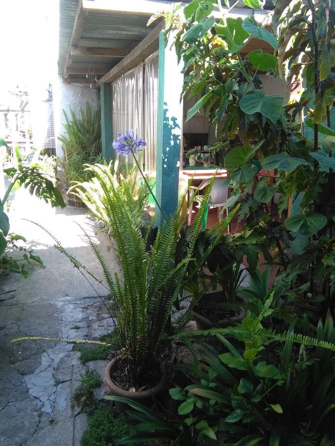 La Casa De Teresa Hotel Colonia del Sacramento Exterior photo